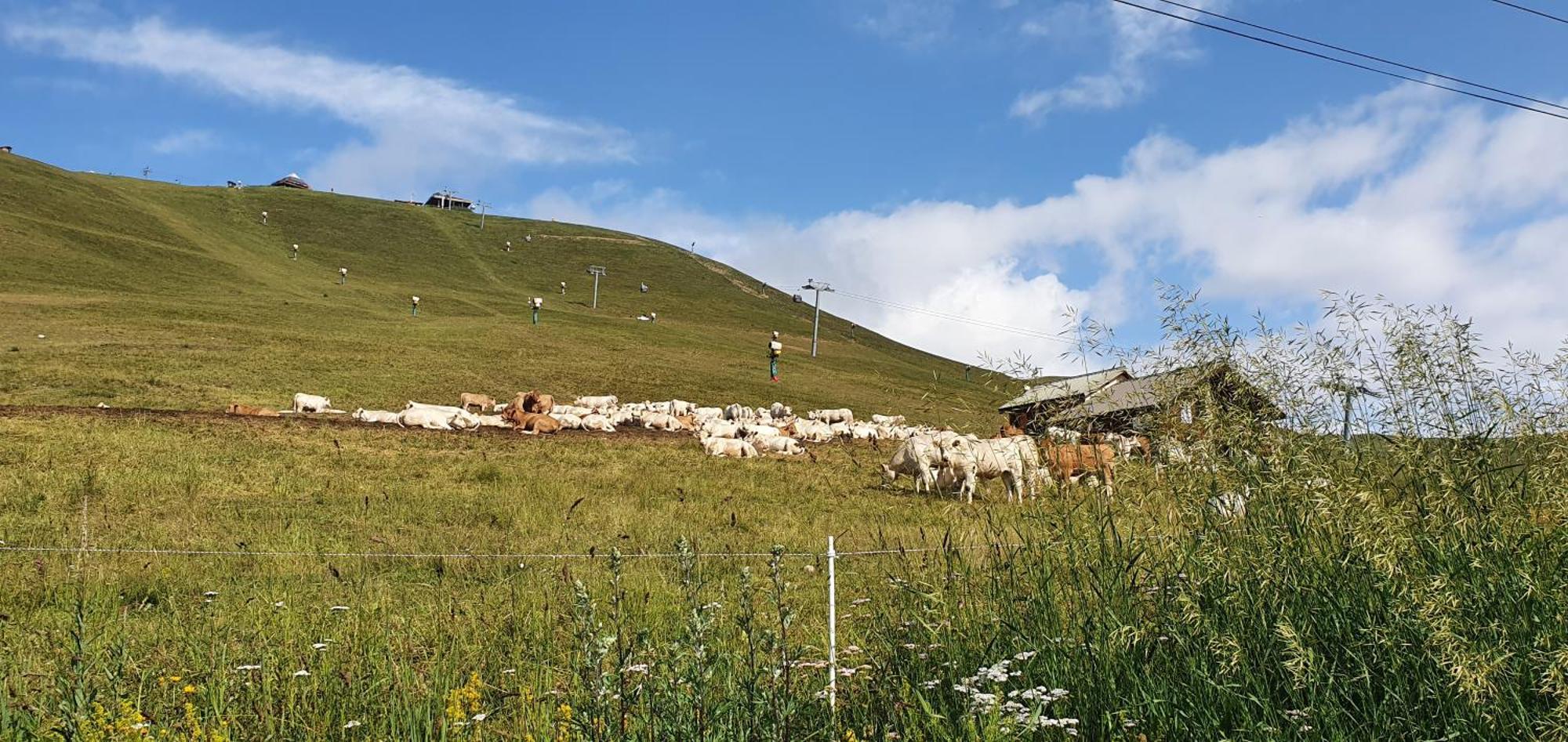 *Nouveau* Pied Des Pistes * Piscine Ext. Chauffee* Alpe d'Huez Kültér fotó